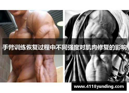 手臂训练恢复过程中不同强度对肌肉修复的影响
